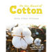 In The Land of Cotton