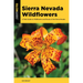 Sierra Nevada Wildflowers