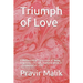 Triumph of Love: A Mathematical Exploration of Being, Becoming, Life, and Transhumanism in a Cosmology of Light