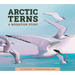 Arctic Terns: A Migration Story