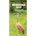 Nebraska Birds: An Introduction to Familiar Species