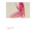 Georgia O'Keeffe: Watercolors
