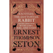 Raggylug, The Cottontail Rabbit and Other Animal Stories with Lobo, Rag, and Vixen