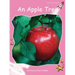 An Apple Tree