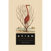 Avian Illuminations: A Cultural History of Birds