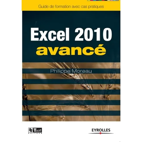 Excel 2010 avancé: Image, communication et influence à la portée de tous