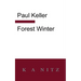 Forest Winter: A Novel of the Silesian Mountains