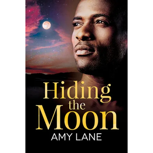 Hiding the Moon: Volume 4