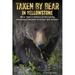 Taken by Bear in Yellowstone: More Than a Century of Harrowing Encounters between Grizzlies and Humans