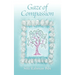 Gaze of Compassion