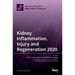Kidney Inflammation, Injury and Regeneration 2020