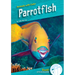 Parrotfish