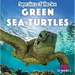 Green Sea Turtles