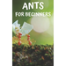 Ants for beginners: Guide to successfully keep ants in an ant farm for novices