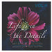 Life is in the Details Vol II