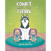 Comet Meets The Twins