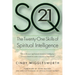 SQ21: The Twenty-One Skills of Spiritual Intelligence