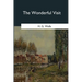 The Wonderful Visit