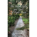 The Tales, Tails, and Trails of Triple Creek