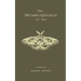 The Metamorphosis of You