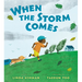 When the Storm Comes