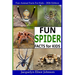 Fun Spider Facts For Kids