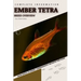 Ember Tetra: From Novice to Expert. Comprehensive Aquarium Fish Guide