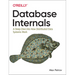 Database Internals: A Deep Dive Into How Distributed Data Systems Work