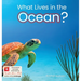 What Lives in the Ocean? (Habitat Series)
