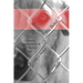 Bridging the Bond: The Cultural Construction of the Shelter Pet