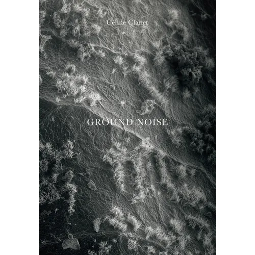 Céline Clanet: Ground Noise