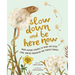 Slow Down and Be Here Now: More Nature Stories to Make You Stop, Look, and Be Amazed by the Tiniest Things