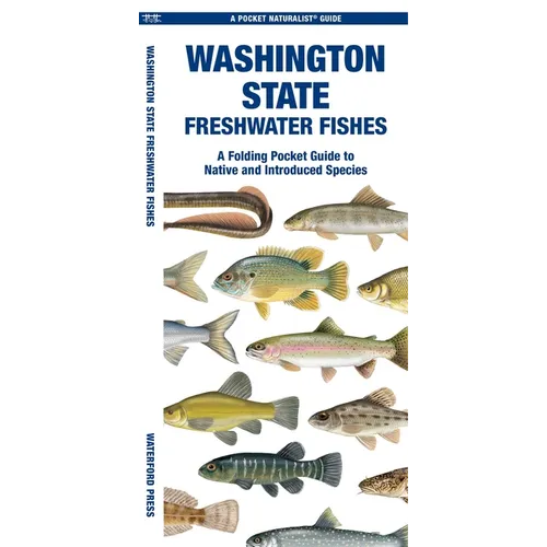 Washington State Freshwater Fishes: A Folding Pocket Guide to Native and Introduced Species