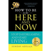 How to be in the Here and Now
