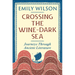 Crossing the Wine-Dark Sea: Journeys Through Ancient Literature