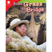 From Grass to Bridge
