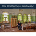 The Posthumous Landscape: Remnants of Jewish Life in Eastern Europe