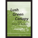 Lush Green Canopy and Place of Refuge