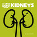 Kidneys