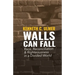 Walls Can Fall: Race, Reconciliation & Righteousness in a Divided World