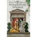 Wonderfully Wicked: Book 1 of The Virtuous Villains Series