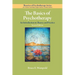 The Basics of Psychotherapy: An Introduction to Theory and Practice