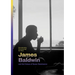 This Morning, This Evening, So Soon: James Baldwin and the Voices of Queer Resistance