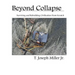 Beyond Collapse