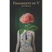 Fragments of V