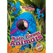 Rain Forest Animals