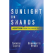 Sunlight on Shards: Adoption From the Inside Out