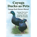 Cayuga Ducks as Pets. Cayuga Duck Owners Manual. Cayuga Duck Pros and Cons, Care, Housing, Diet and Health All Included.