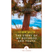 The Story of My Boyhood and Youth