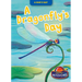 A Dragonfly's Day